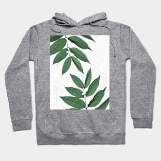 Botanical #0005 Hoodie